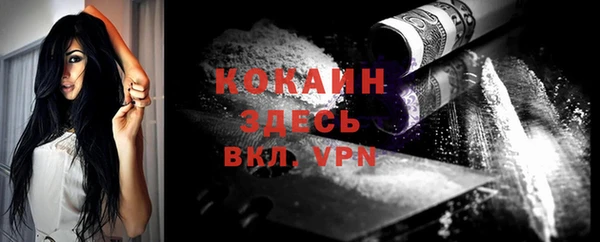 гидра Белокуриха