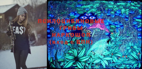 PSILOCYBIN Богородицк