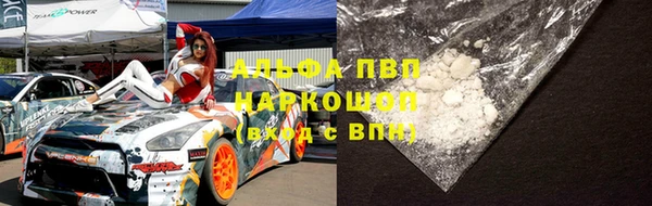 гидра Белокуриха