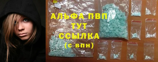 PSILOCYBIN Богородицк