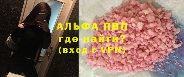 гидра Бородино